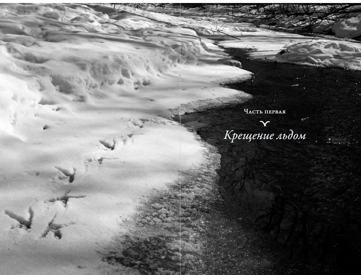 Книга Без автора: Слат Дж.: Совы во льдах: Как спасали самого большого филина в мире купить,NaN