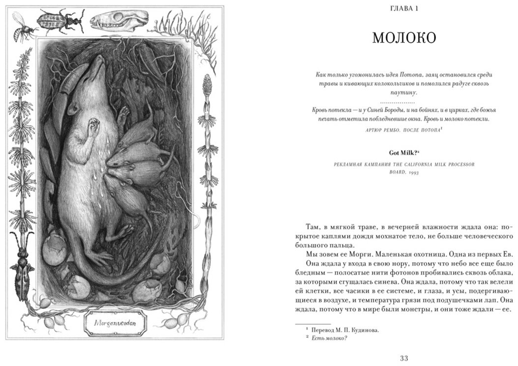 Книга Бохэннон К.: ЕВА. История эволюции женского тела. История человечества купить,NaN