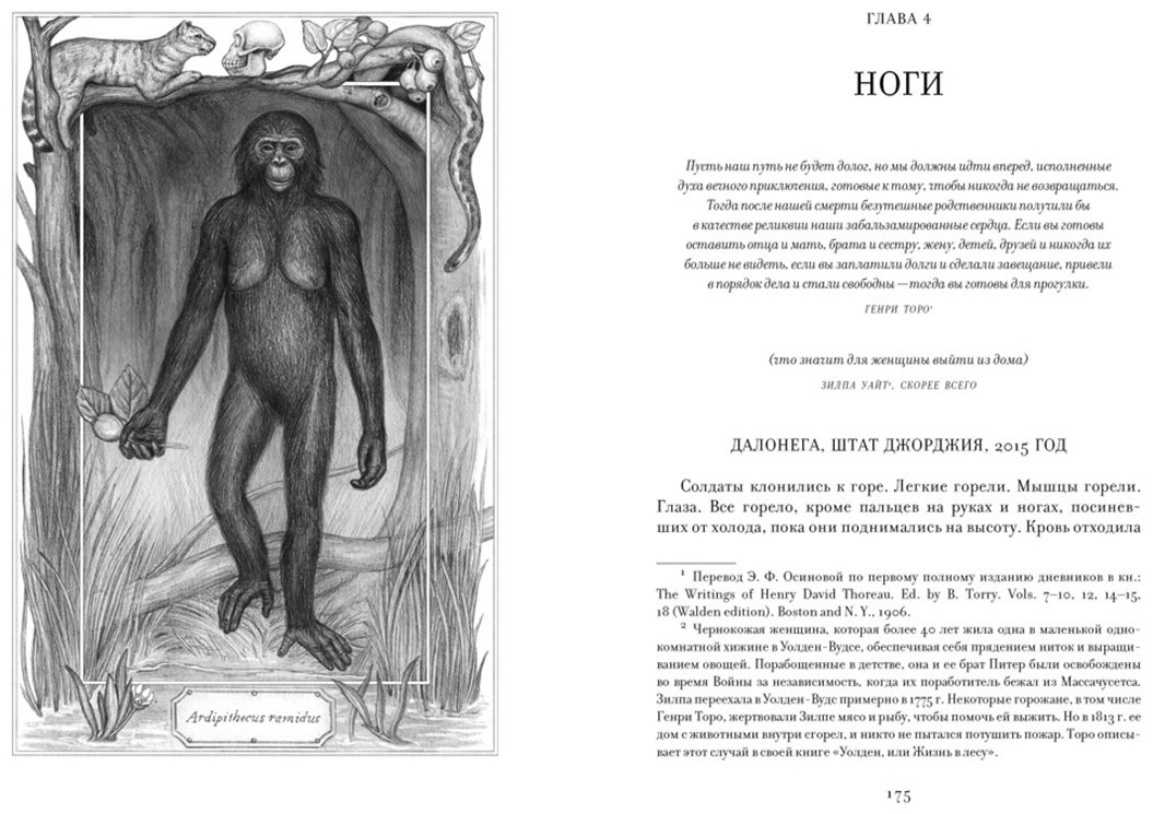 Книга Бохэннон К.: ЕВА. История эволюции женского тела. История человечества купить,NaN