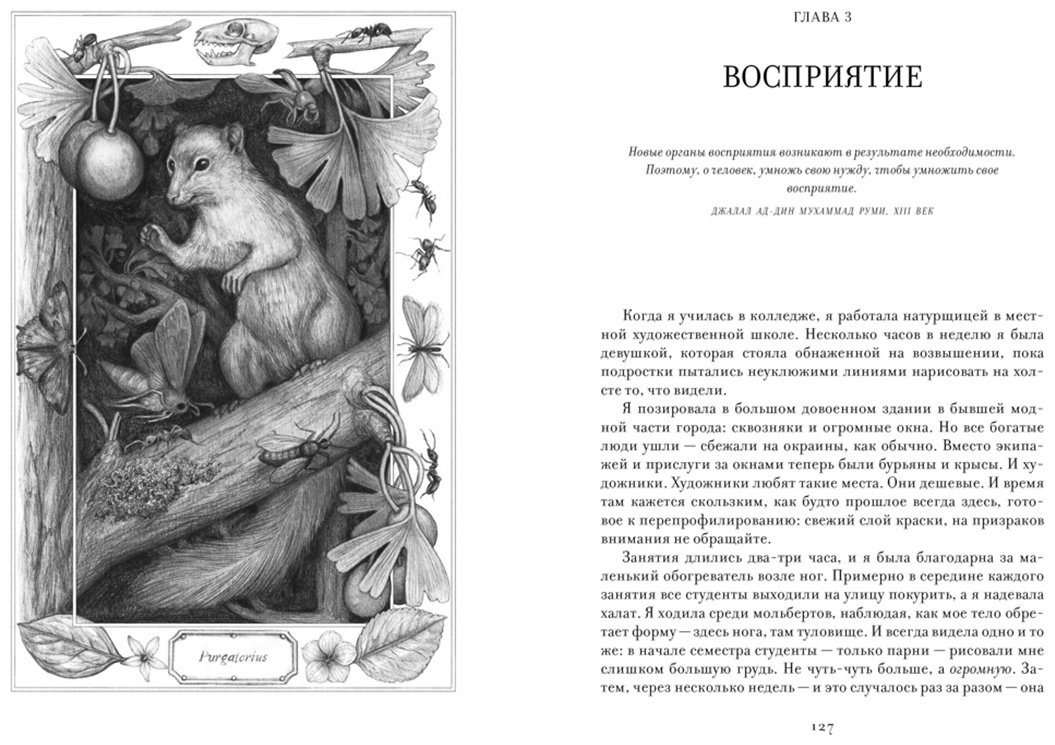 Книга Бохэннон К.: ЕВА. История эволюции женского тела. История человечества купить,NaN