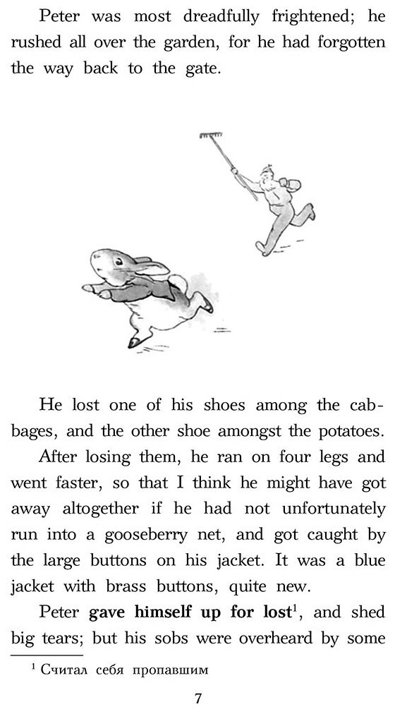 Книга Поттер Б.: Сказки про кролика Питера. Уровень 1  The Tale of Peter Rabbit купить,NaN