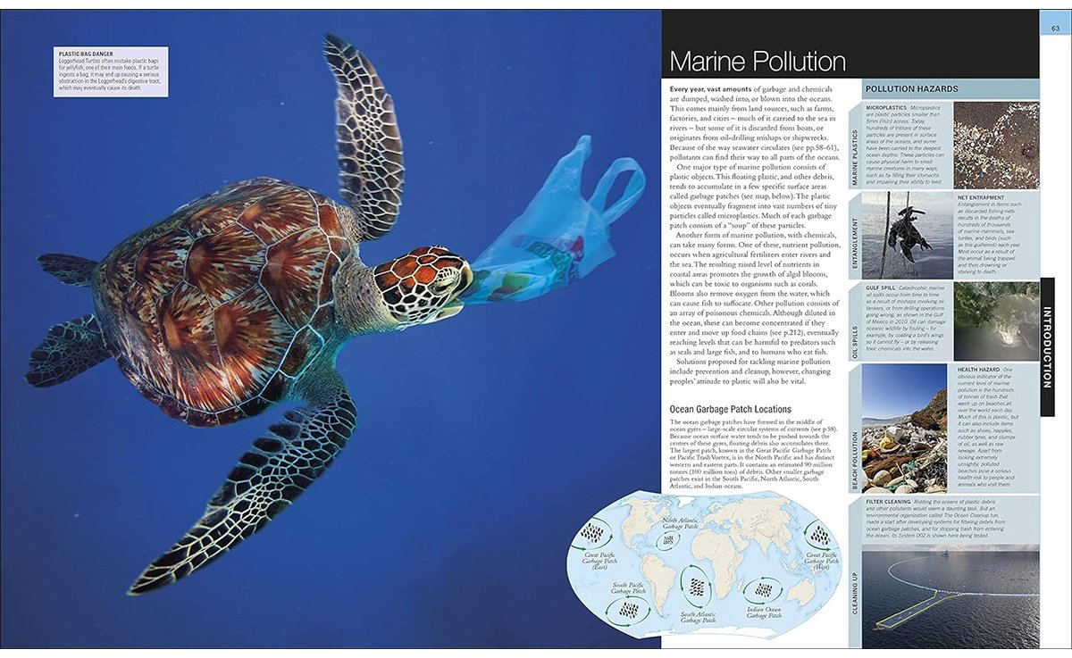 Книга Ocean.&nbsp;The Definitive Visual Guide купить,NaN