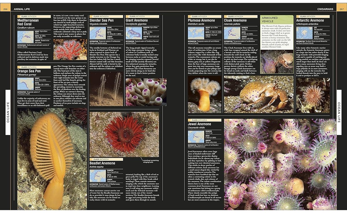 Книга Ocean.&nbsp;The Definitive Visual Guide купить,NaN
