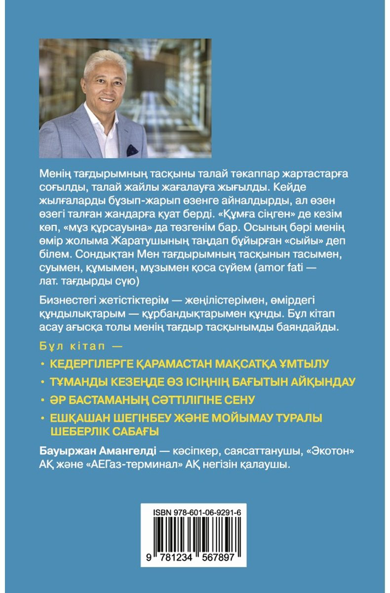 Книга Амангелді Б.: Тағдыр тасқыны. Бизнес-роман купить,NaN