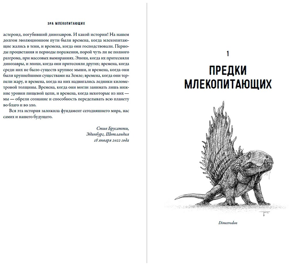 Книга Брусатти С.: Эра млекопитающих: Из тени динозавров к мировому господству купить,NaN