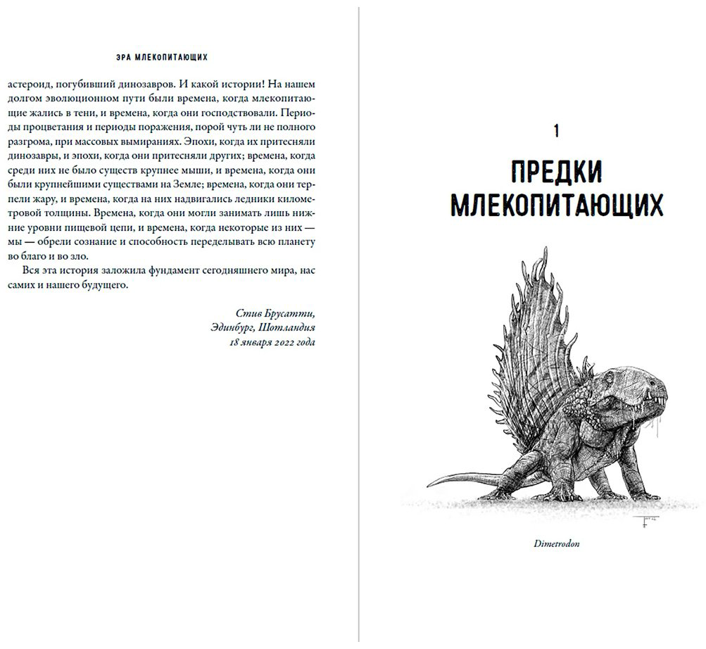 Книга Брусатти С.: Эра млекопитающих: Из тени динозавров к мировому господству купить,NaN