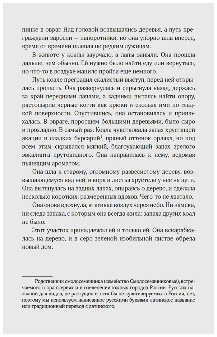 Книга Клод Д.: Хюгге от коал: Жизнь среди деревьев купить,NaN