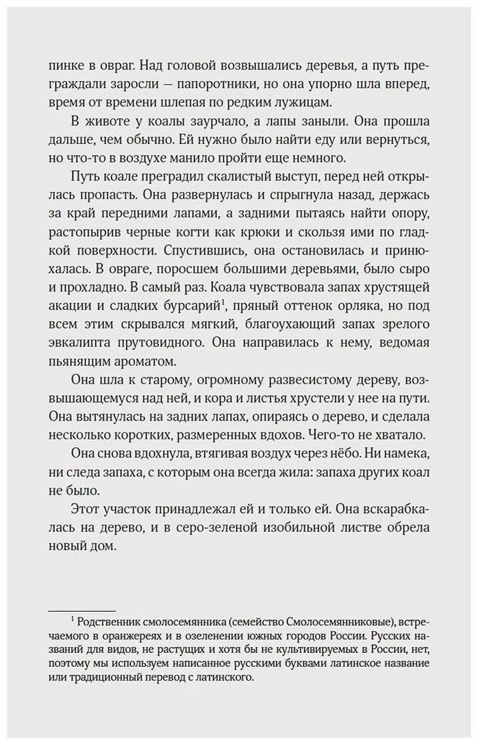 Книга Клод Д.: Хюгге от коал: Жизнь среди деревьев купить,NaN