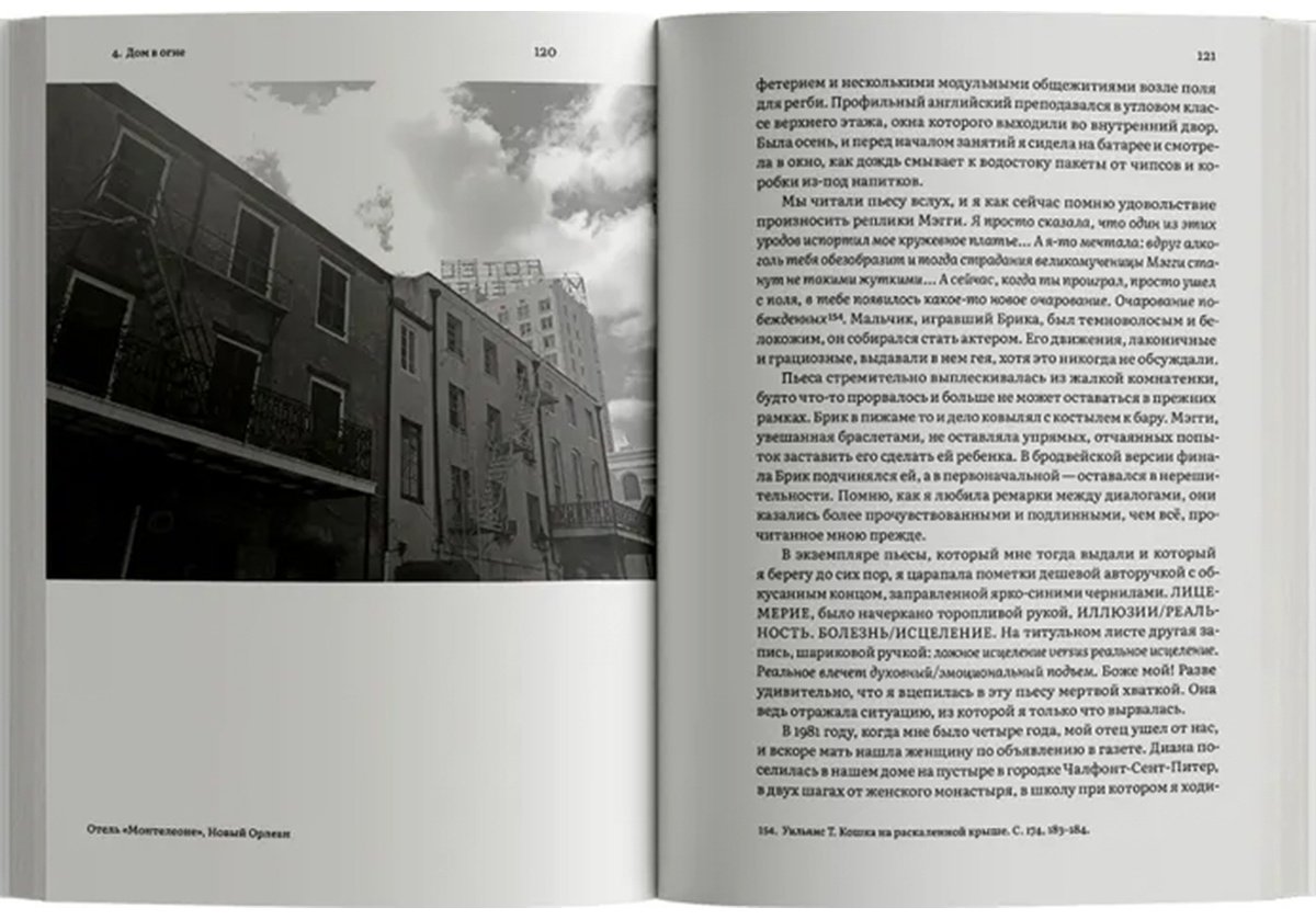 Книга Лэнг О.: Путешествие к Источнику Эха. Почему писатели пьют купить,NaN