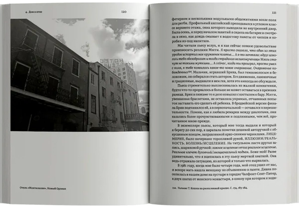 Книга Лэнг О.: Путешествие к Источнику Эха. Почему писатели пьют купить,NaN