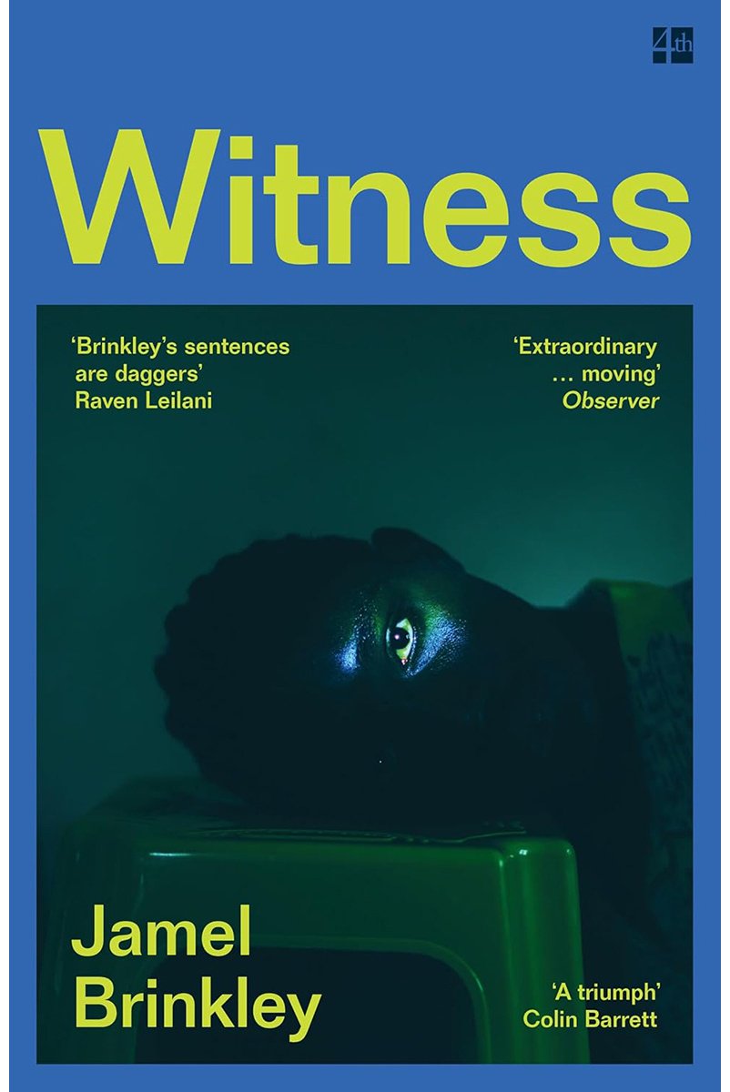Книга Brinkley J.: Brinkley J.: Witness купить,NaN