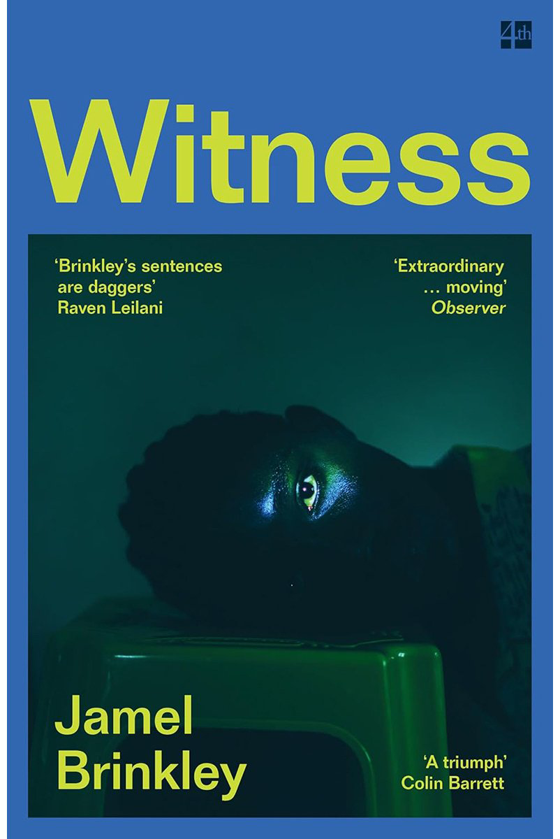Книга Brinkley J.: Brinkley J.: Witness купить,NaN