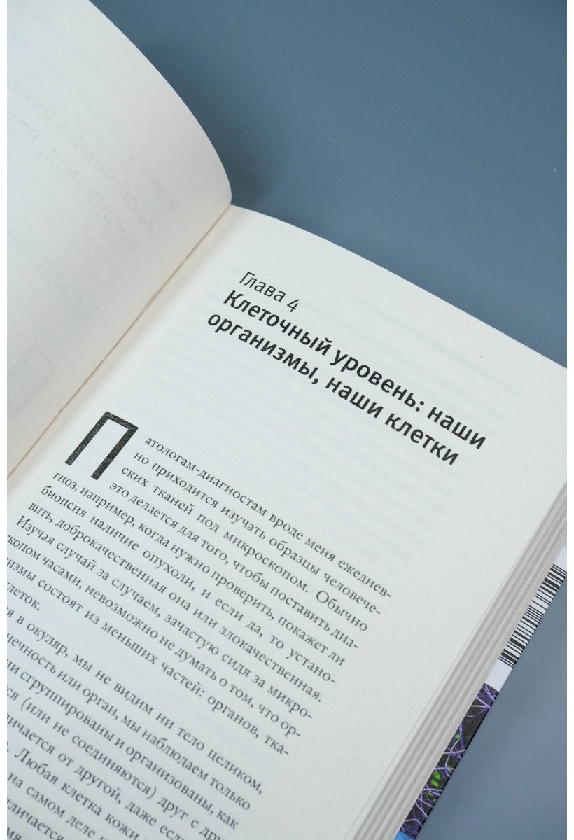 Книга Тайзе Н.: Заметки о сложности купить,NaN