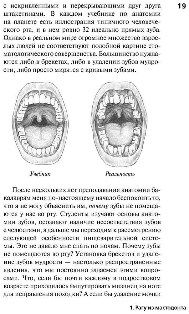 Книга Беззеридес А.: Ловушка эволюции. Почему наше тело болит купить,NaN