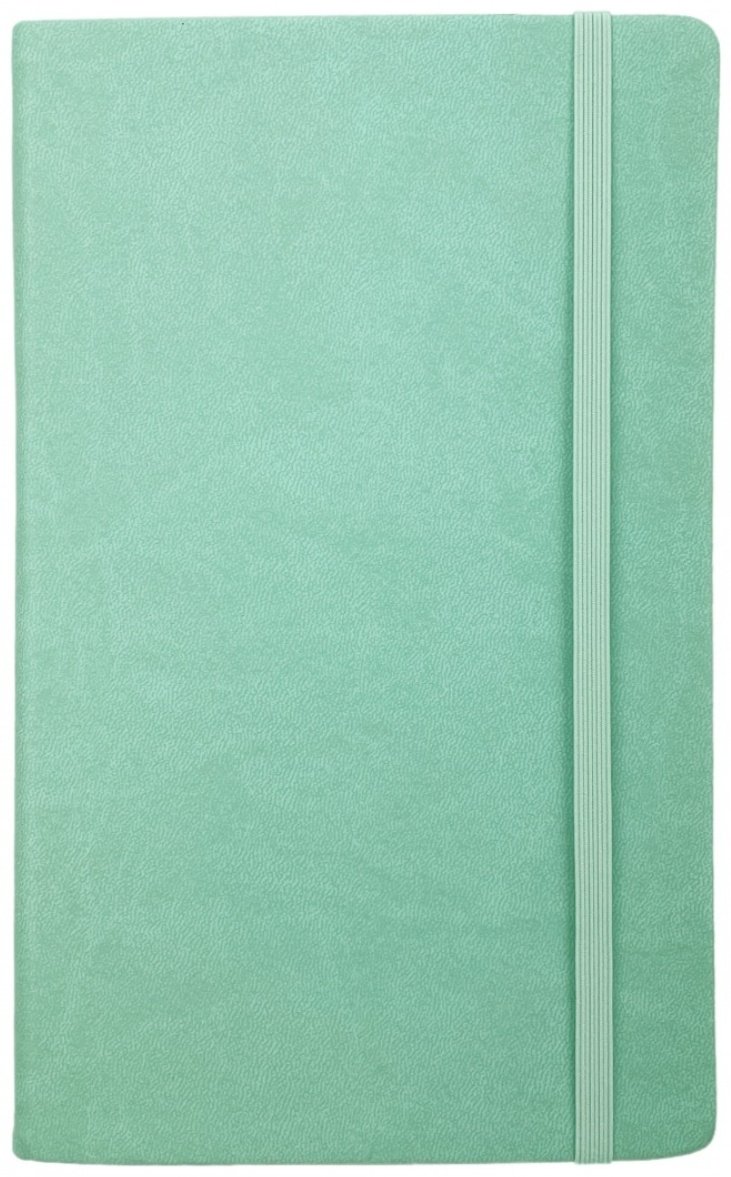 Блокнот Listoff Joy Book. Ментоловый, A5, 96 л, зеленый купить,0