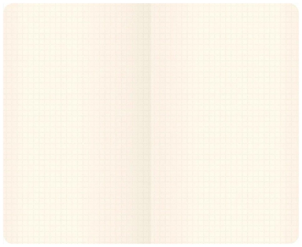 Блокнот Listoff Joy Book. Персиковый пух, A4, 96 л, розовый