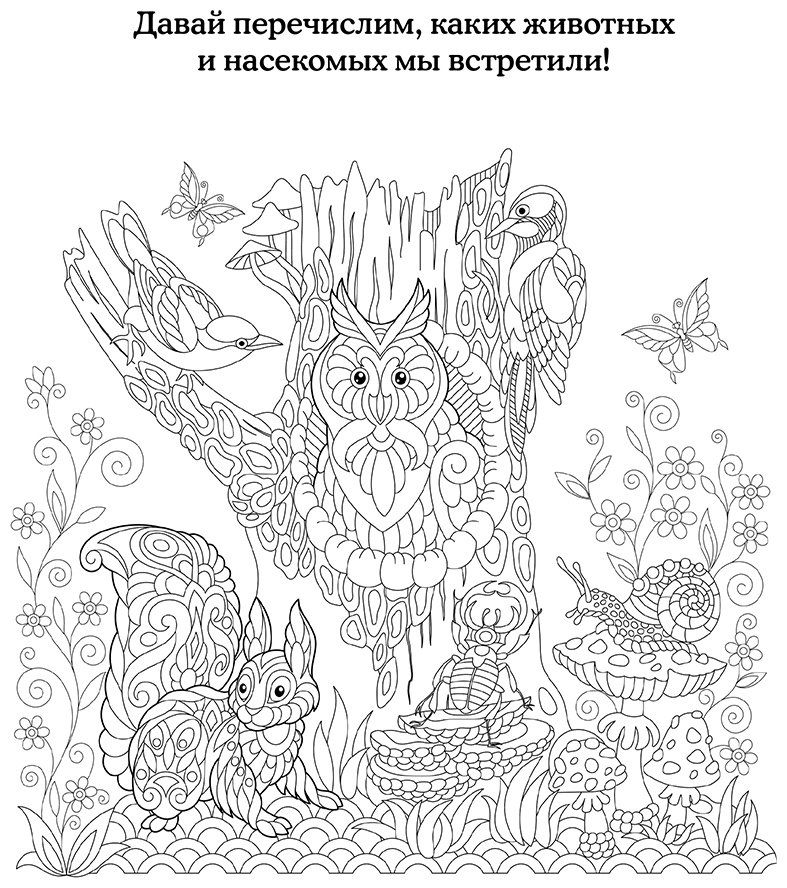 Раскраска Эксмо Лесные жители купить,NaN