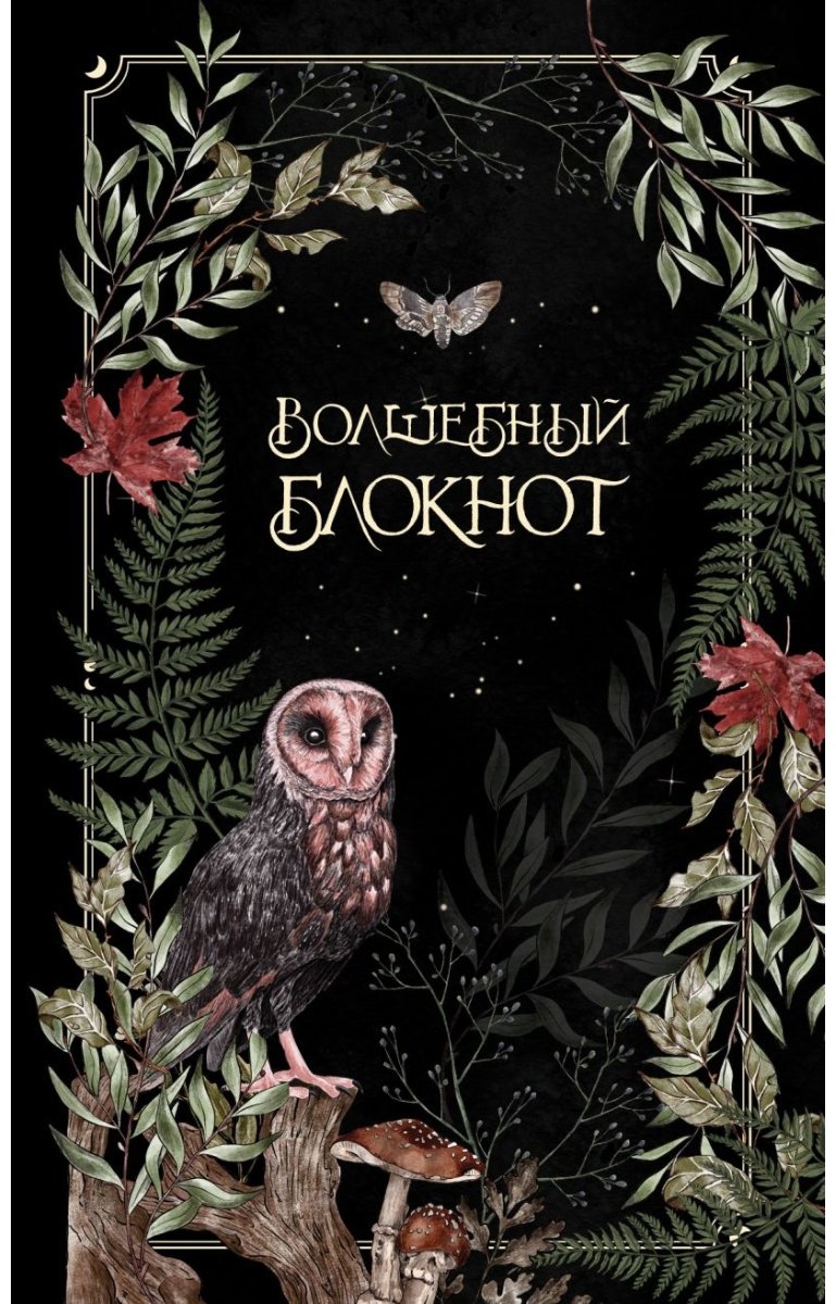 Блокнот Эксмо Волшебный блокнот, A5, 96 л, черный