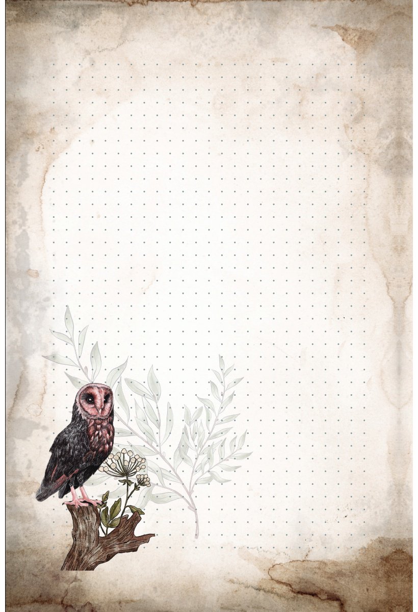 Блокнот Эксмо Волшебный блокнот, A5, 96 л, черный купить,function inputValueFn(){if((0,signal2.mK)(node),node.value===REQUIRED_UNSET_VALUE)throw new root_effect_scheduler.buA(-950,null);return node.value}