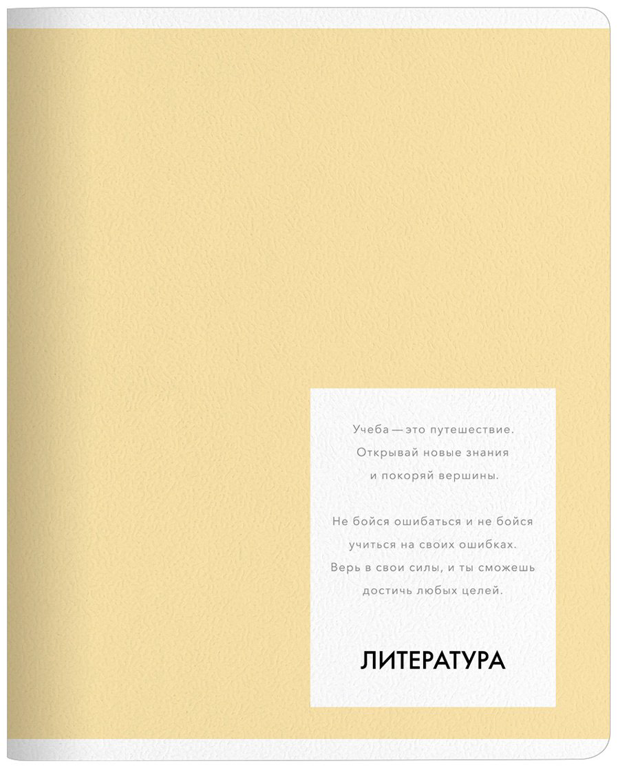 Предметная тетрадь Be Smart "Color", литература, 48 л, А5, линейка, мягкая обложка, 1 шт купить,NaN
