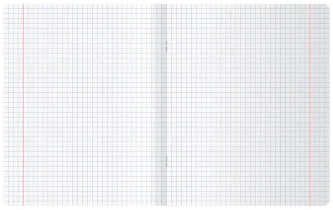 Общая тетрадь BG Nude art, 96 л, А5, клетка, мягкая обложка, 1 шт