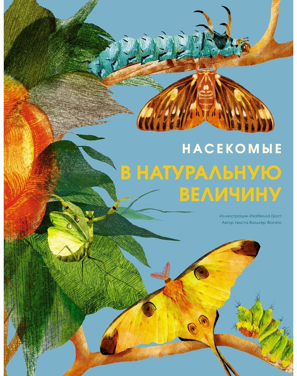 Книга Фогато В.: Насекомые в натуральную величину купить,NaN