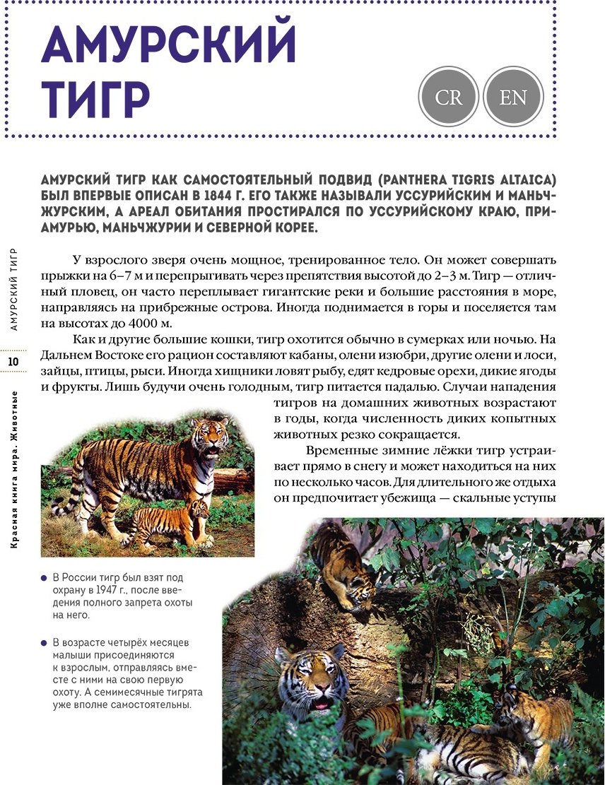 Книга Климов В.: Красная книга мира. Животные купить,NaN