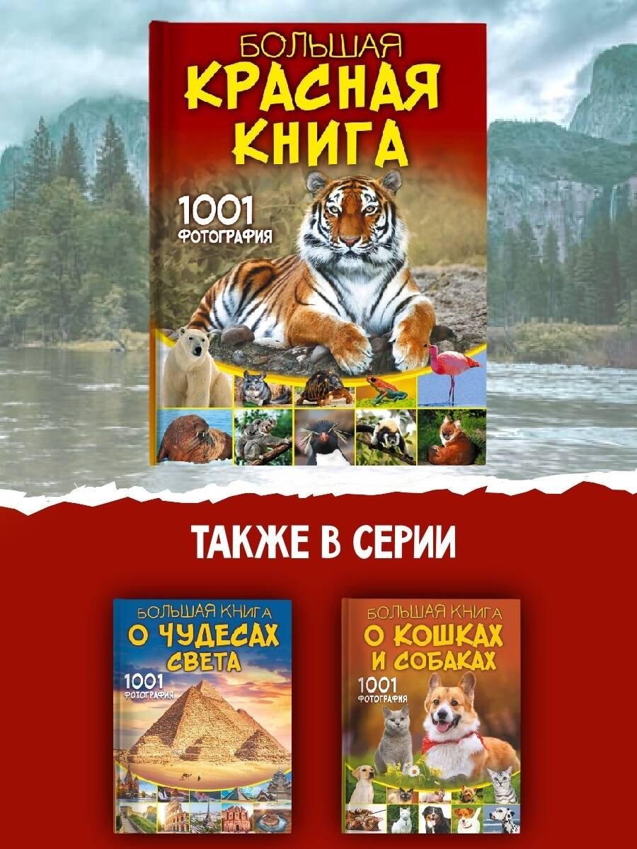 Книга Спектор А.: Большая красная книга. 1001 фотография купить,NaN