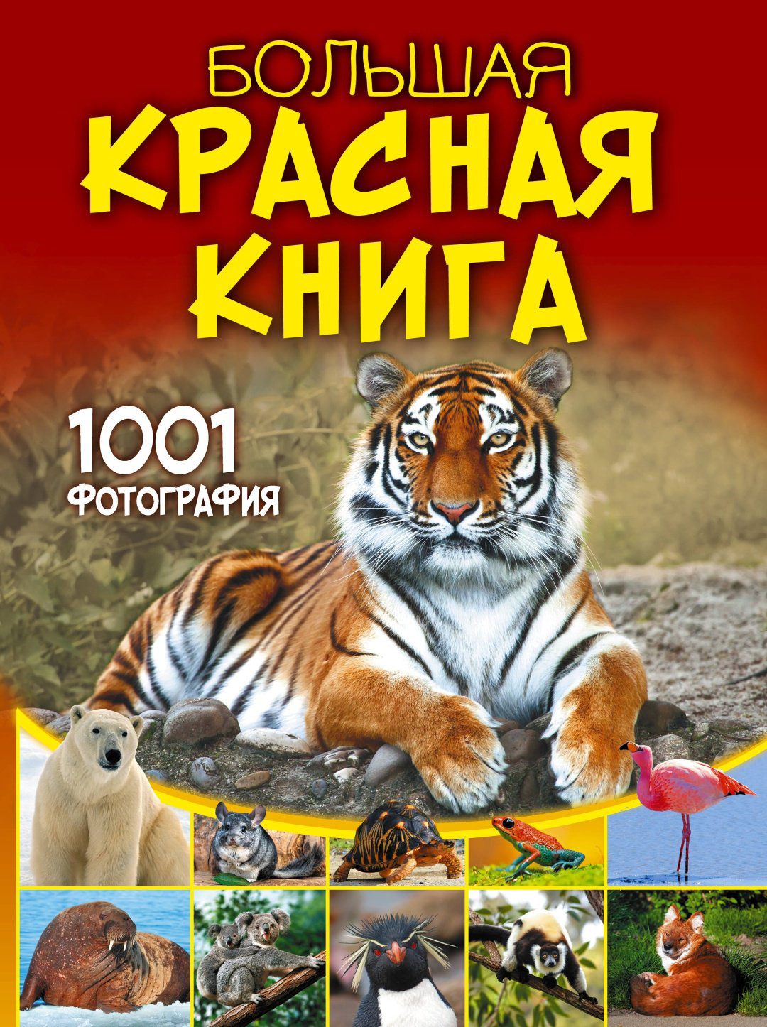 Книга Спектор А.: Большая красная книга. 1001 фотография купить,NaN