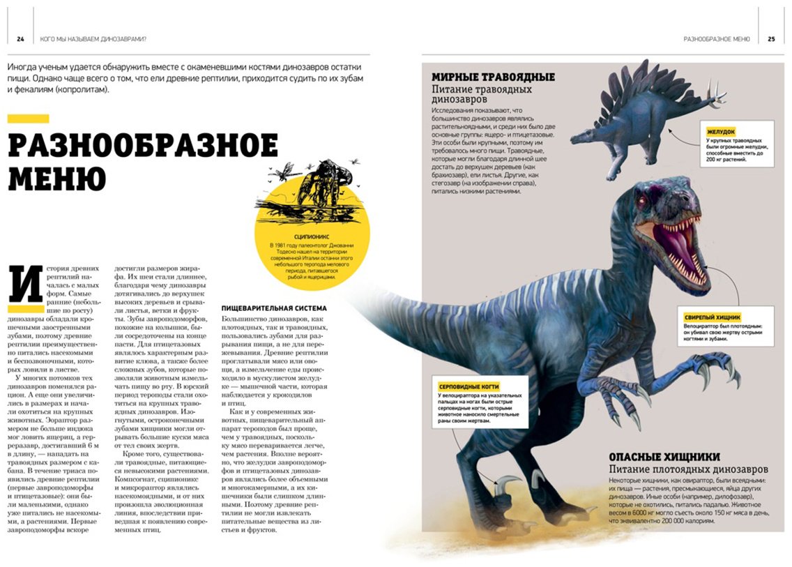 Книга Чичеро Н.: Гигантская энциклопедия динозавров купить,NaN