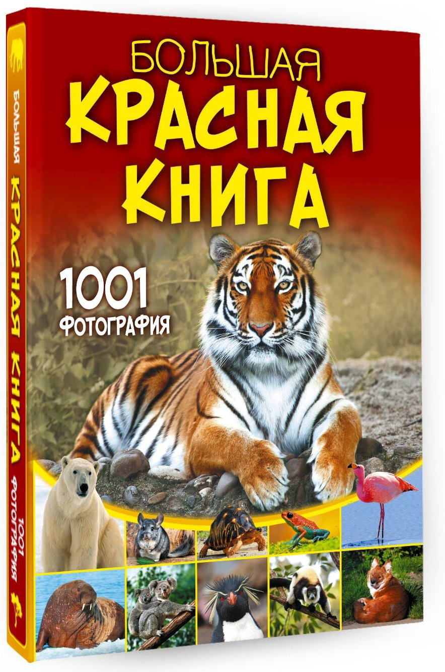 Книга Спектор А.: Большая красная книга. 1001 фотография купить,NaN
