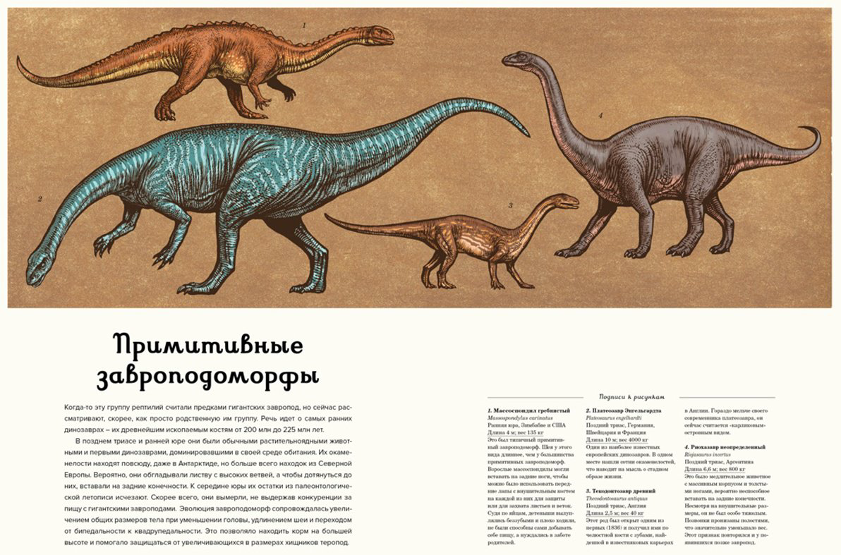 Книга Маррей Л.: Динозавриум купить,NaN