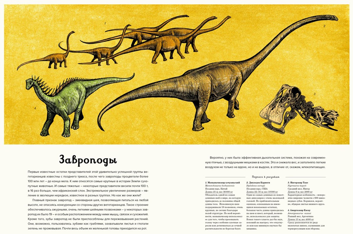 Книга Маррей Л.: Динозавриум купить,NaN