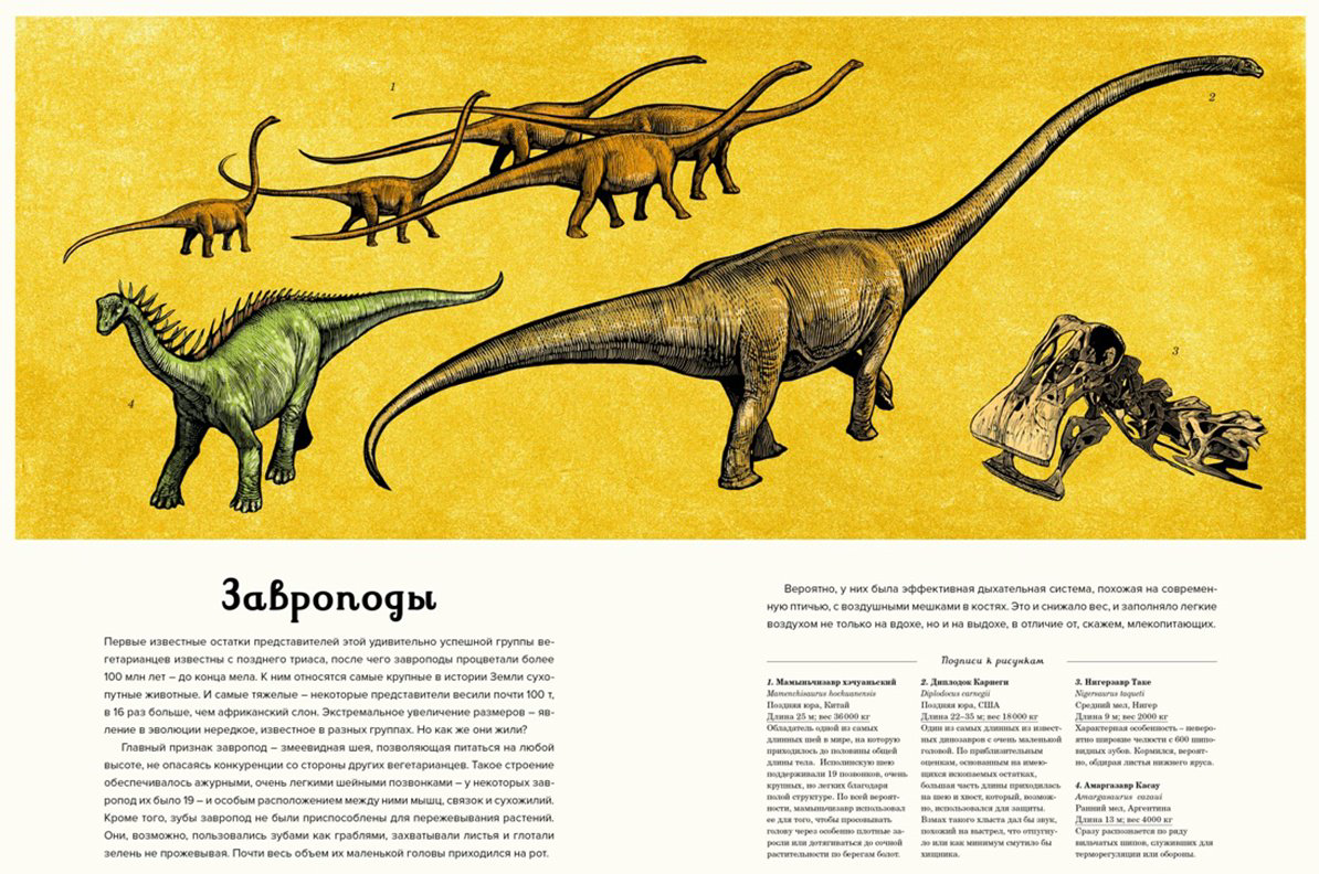 Книга Маррей Л.: Динозавриум купить,NaN
