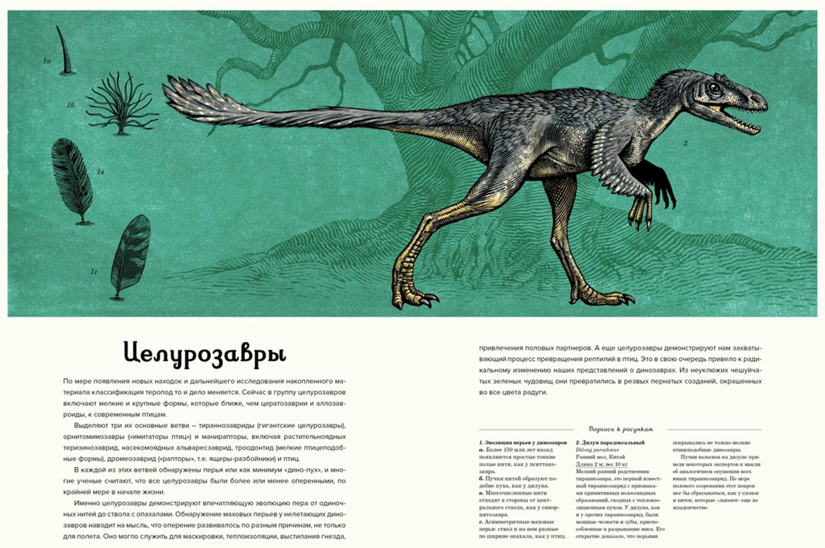 Книга Маррей Л.: Динозавриум купить,NaN