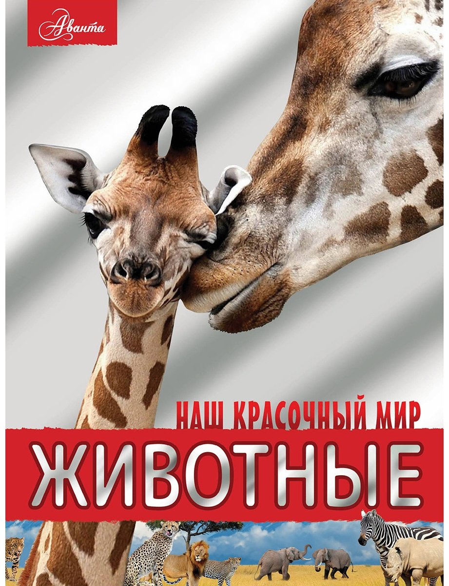 Книга Вайткене Л., Филиппова М.: Животные купить,NaN