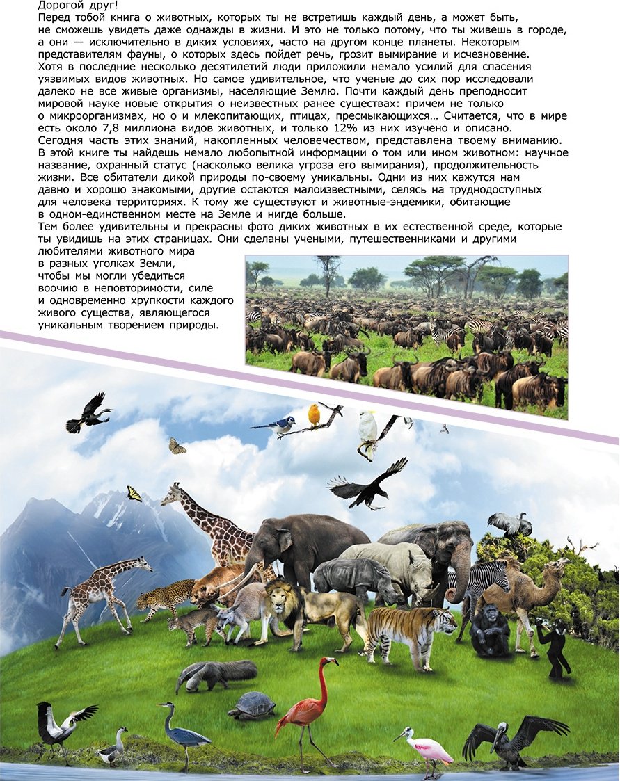 Книга Вайткене Л., Филиппова М.: Животные купить,NaN