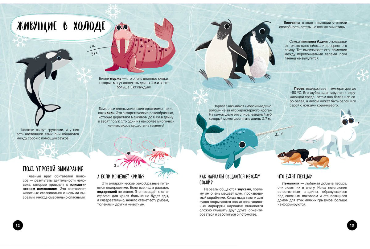 Книга Что Как Почему Мои первые знания про планету Земля купить,NaN