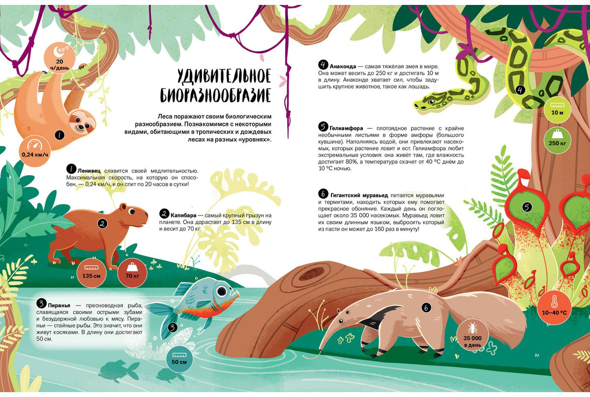 Книга Что Как Почему Мои первые знания про планету Земля купить,NaN