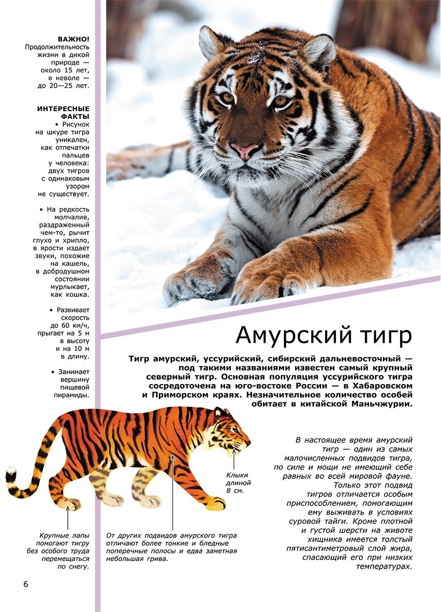 Книга Вайткене Л., Филиппова М.: Животные купить,NaN