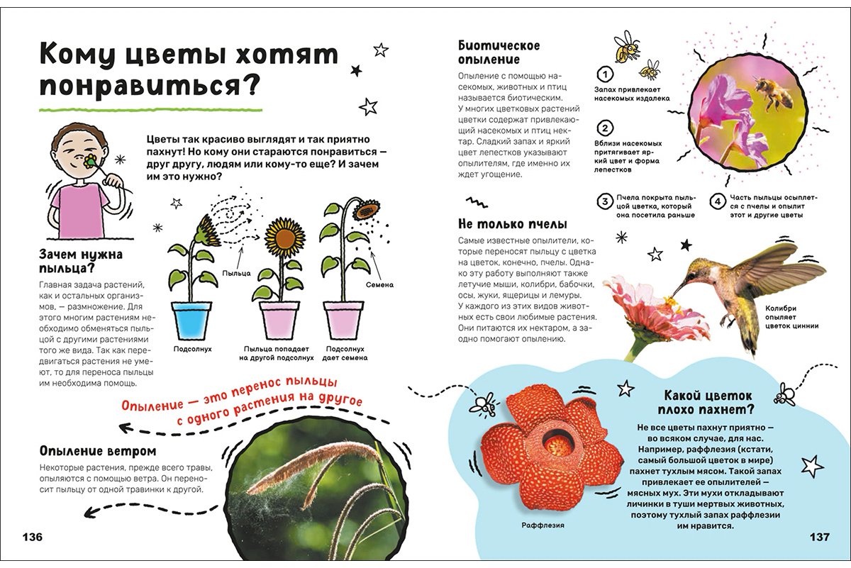 Книга Без автора: Суперэнциклопедия купить,NaN