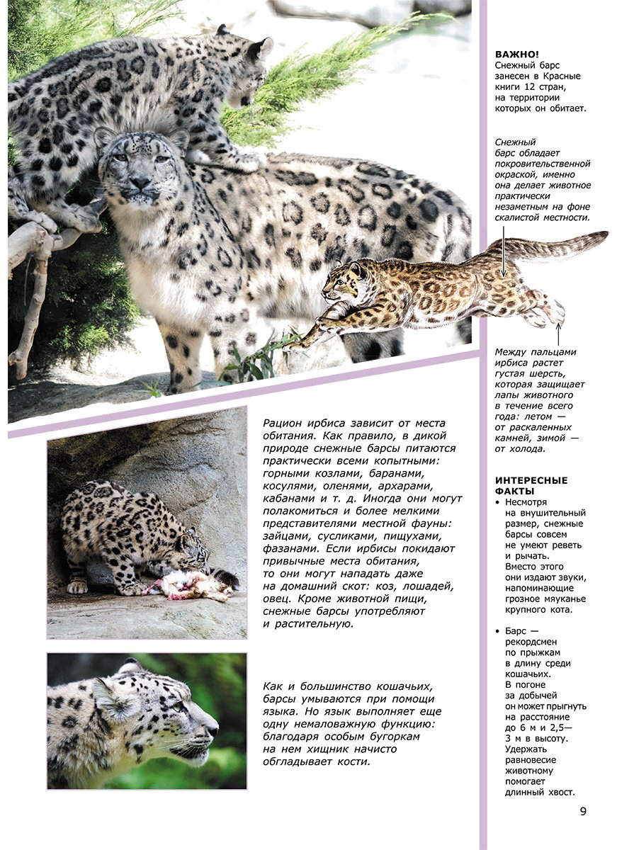 Книга Вайткене Л., Филиппова М.: Животные купить,NaN