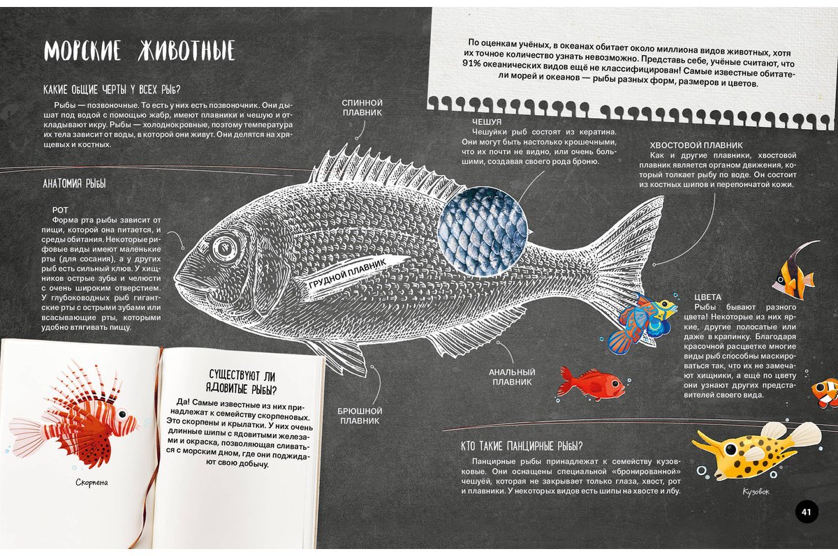 Книга Что Как Почему Мои первые знания про моря и океаны купить,NaN