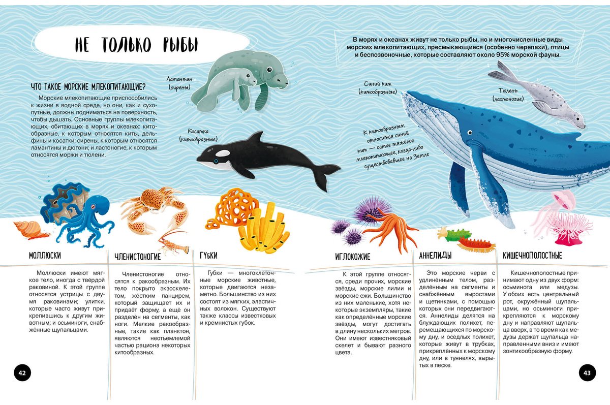 Книга Что Как Почему Мои первые знания про моря и океаны купить,NaN