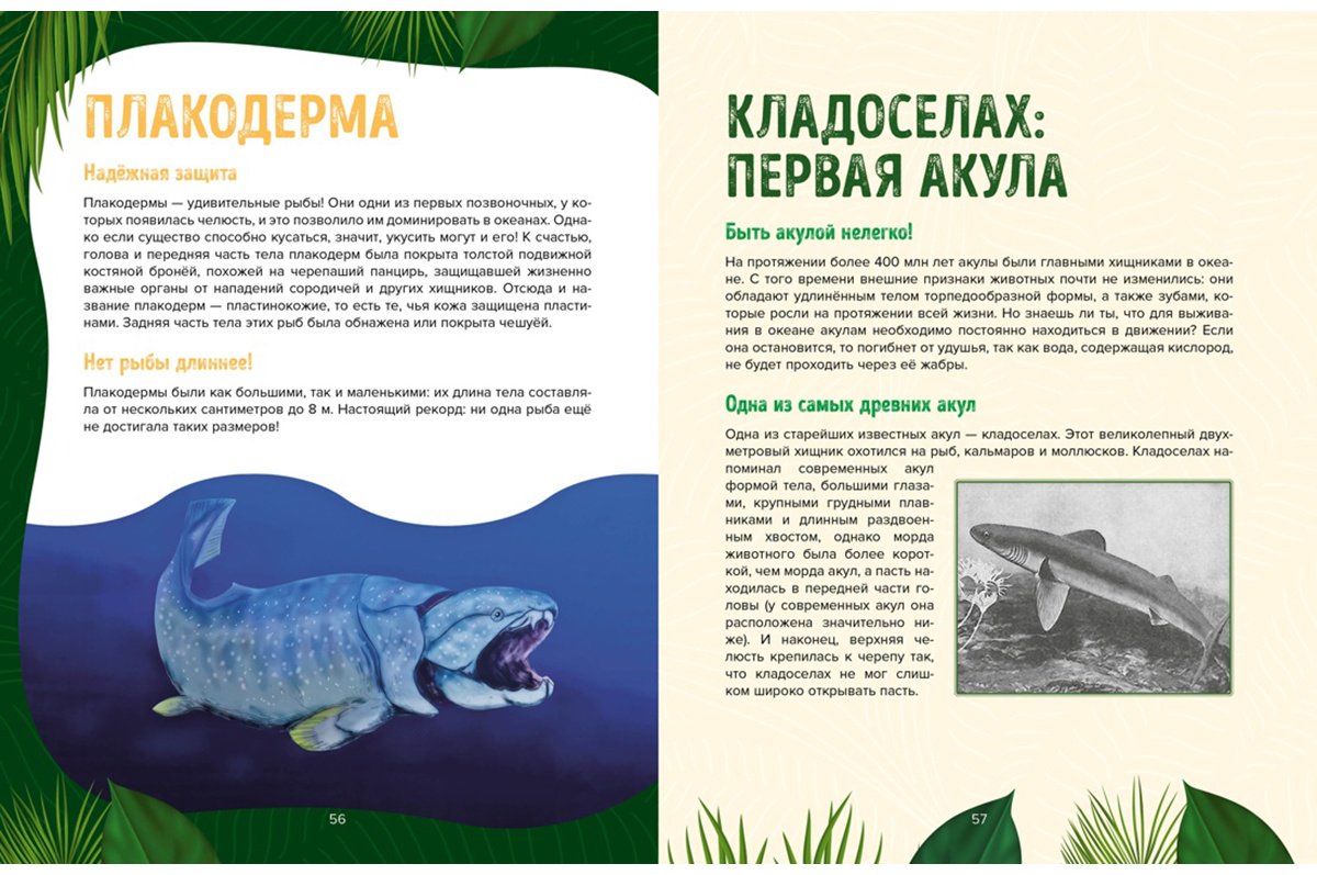 Книга Дефур О.: Царство динозавров купить,NaN