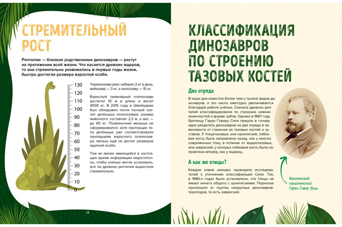 Книга Дефур О.: Царство динозавров купить,NaN