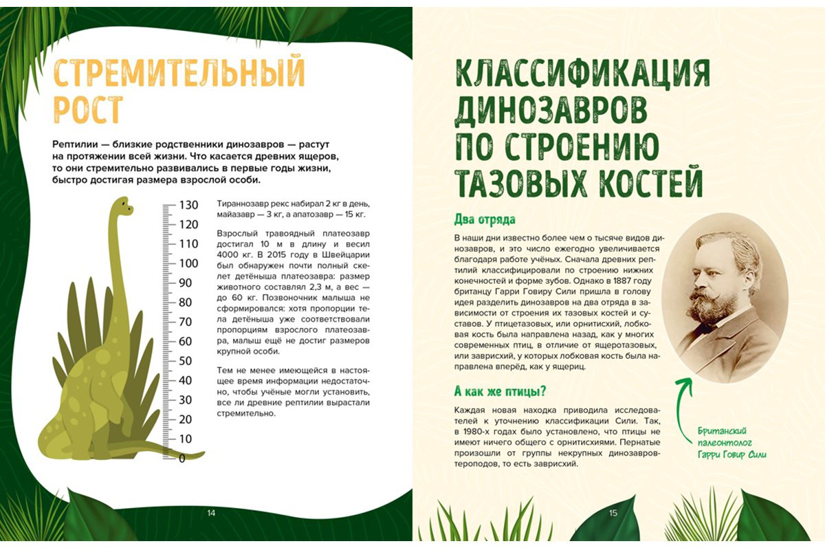 Книга Дефур О.: Царство динозавров купить,NaN