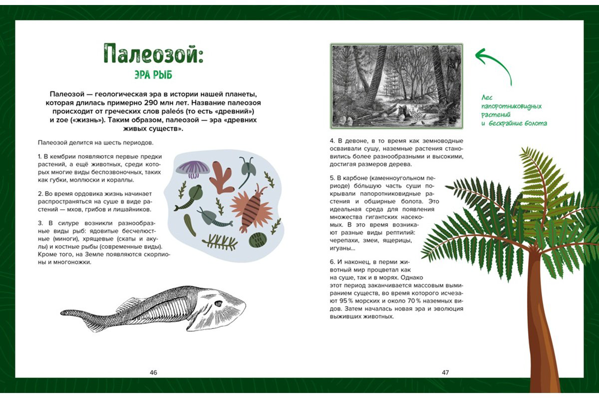 Книга Дефур О.: Царство динозавров купить,NaN