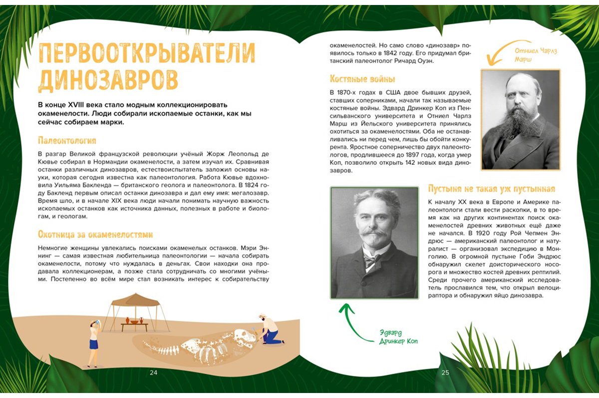 Книга Дефур О.: Царство динозавров купить,NaN
