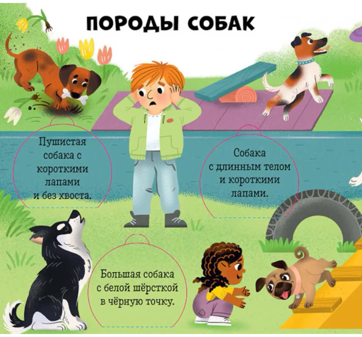 Книга Без автора: Любимые животные.&nbsp;Энциклопедия с окошками купить,NaN